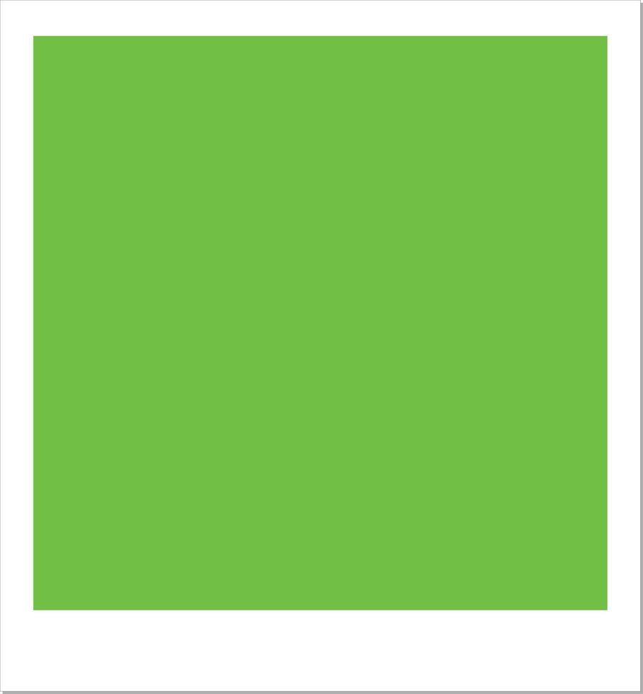 foto telaio con verde schermo vettore