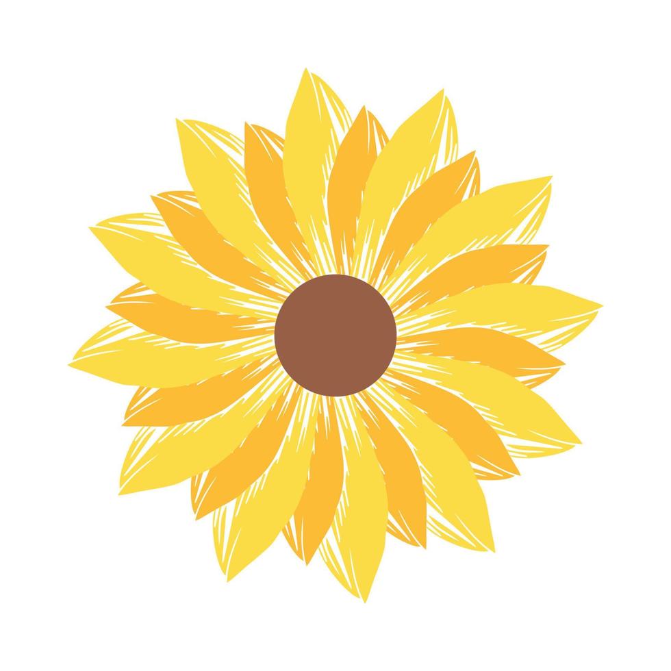 bellissimo e naturale girasole illustrazione vettore