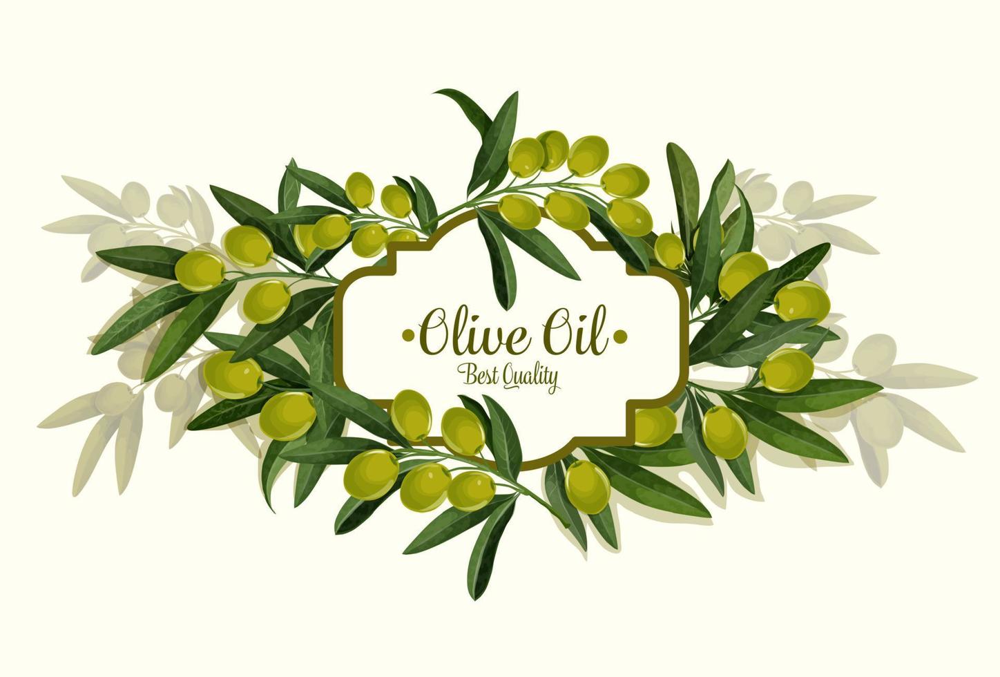 oliva olio migliore qualità vettore olive mazzo manifesto