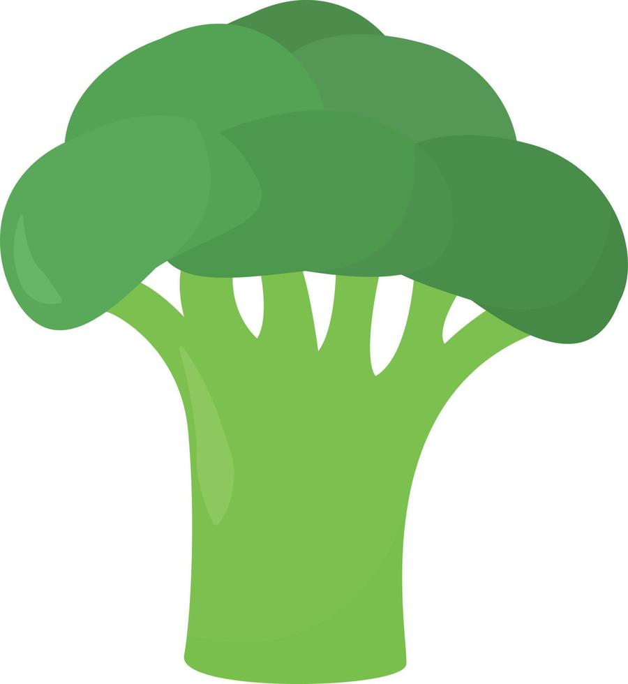 piatto broccoli, illustrazione, vettore su bianca sfondo.