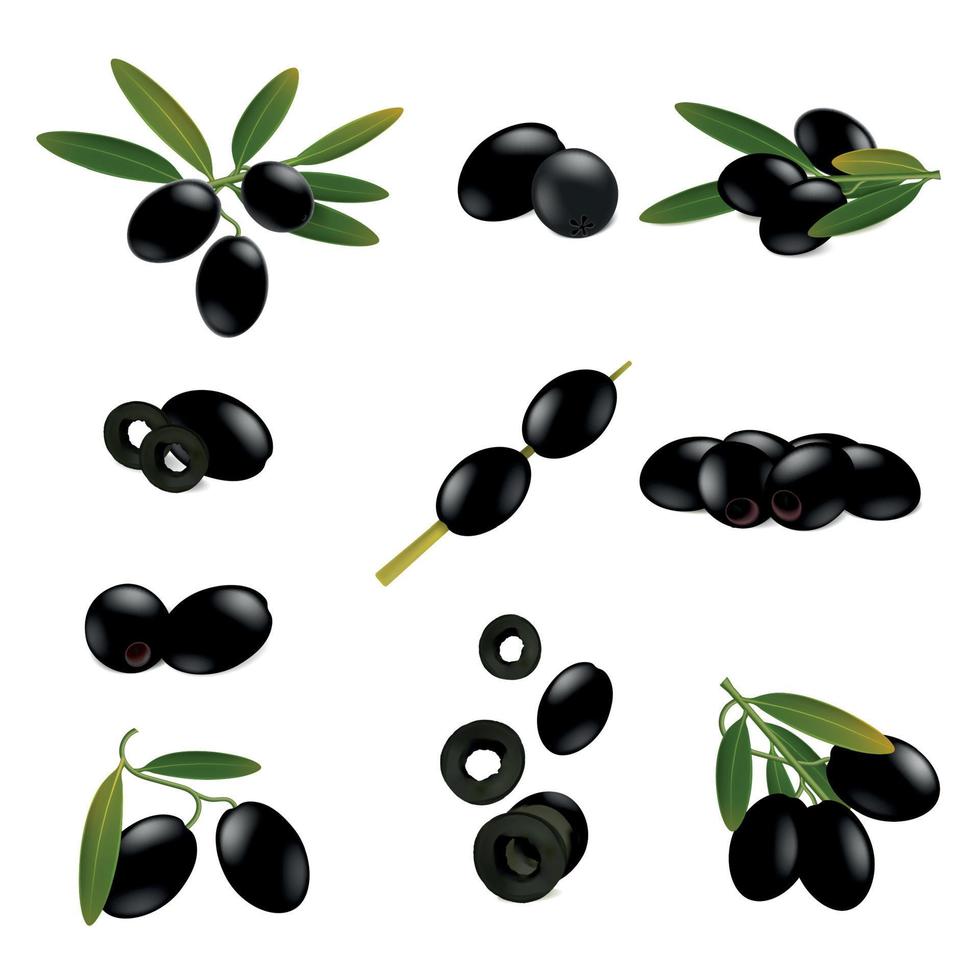 realistico nero olive impostato vettore