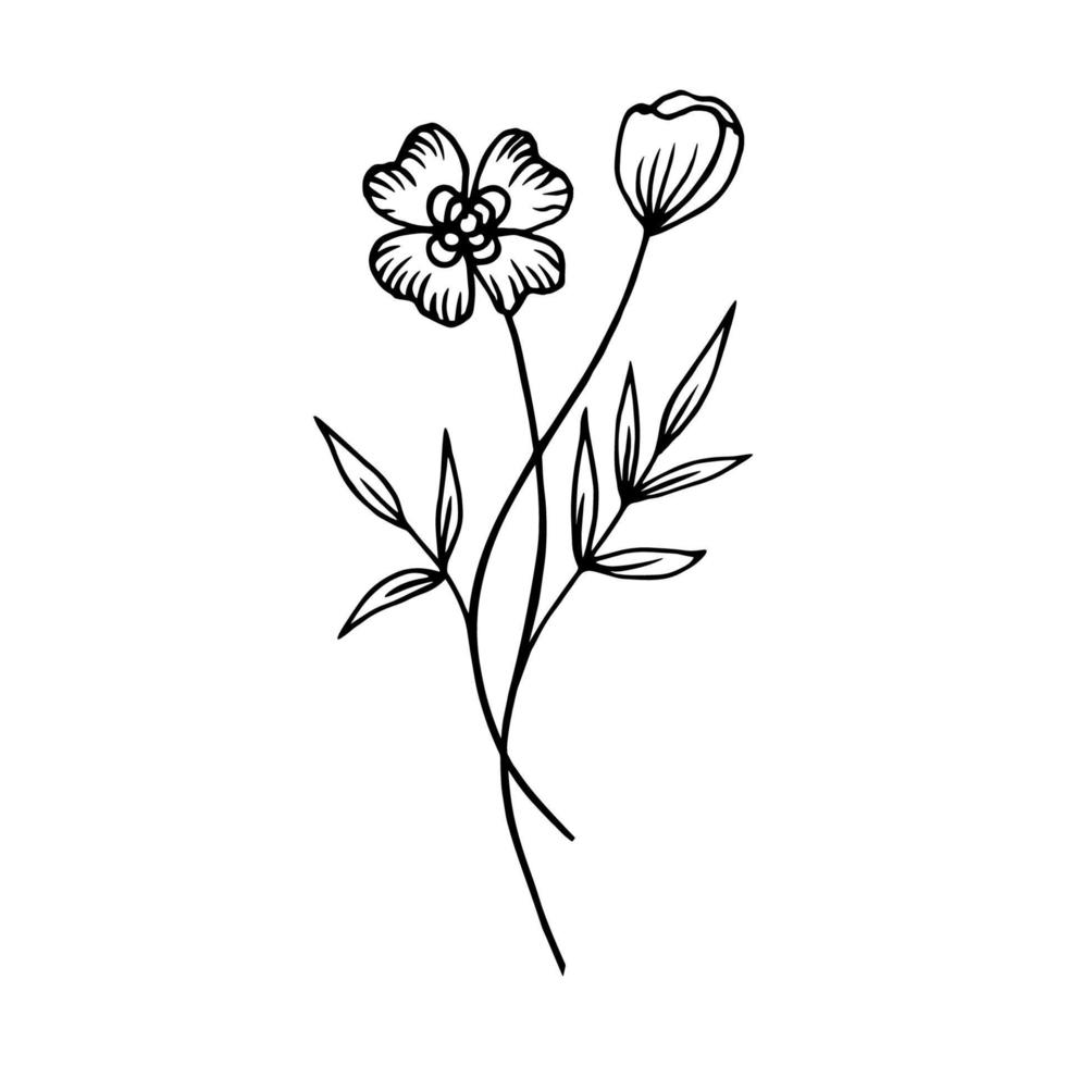 disegnato a mano fiore, scarabocchio disegno su un' bianca sfondo. mano disegnato vettore con fiori. floreale naturale design. grafico, schizzo disegno.