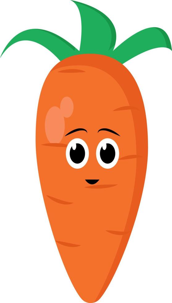 carino carota, illustrazione, vettore su bianca sfondo.