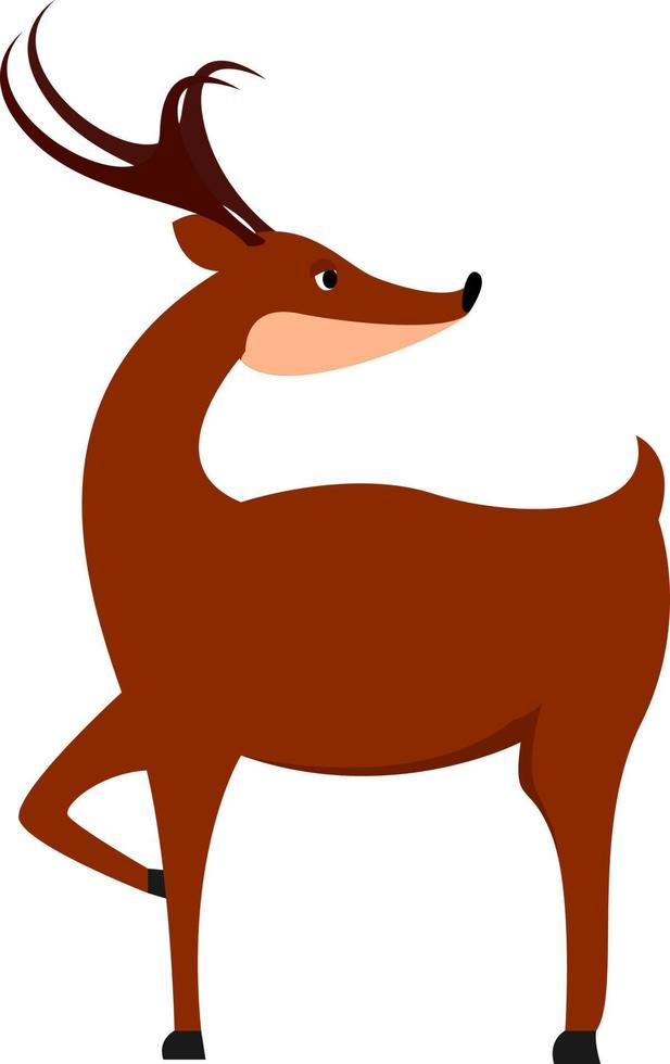 adulto cervo, illustrazione, vettore su bianca sfondo.