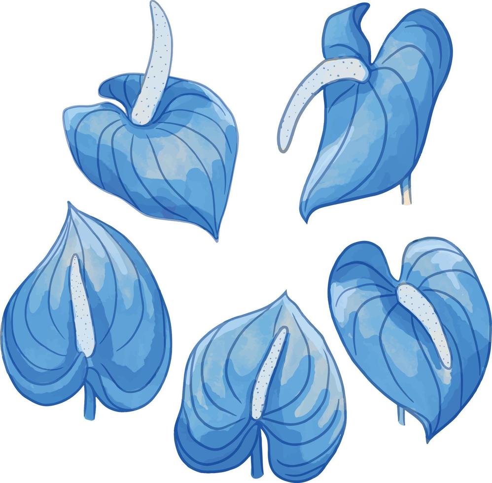 impostato di acquerello fiore, blu flora clipart vettore