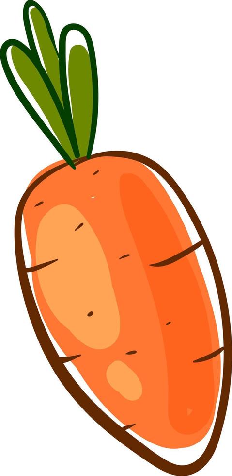 carota, illustrazione, vettore su bianca sfondo.