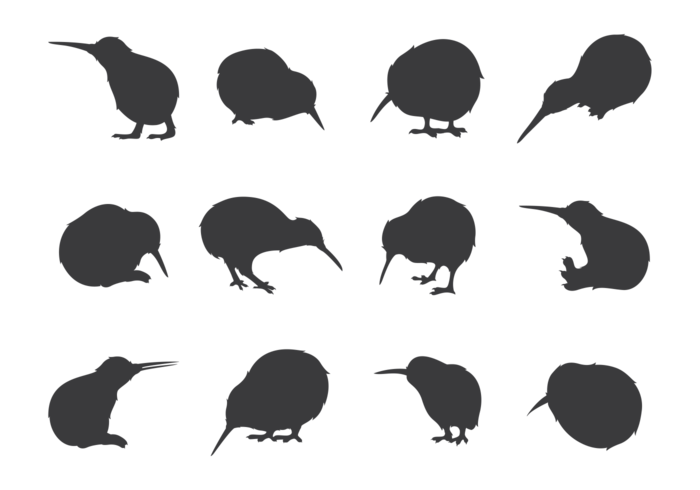 Sagome di uccelli Kiwi vettore