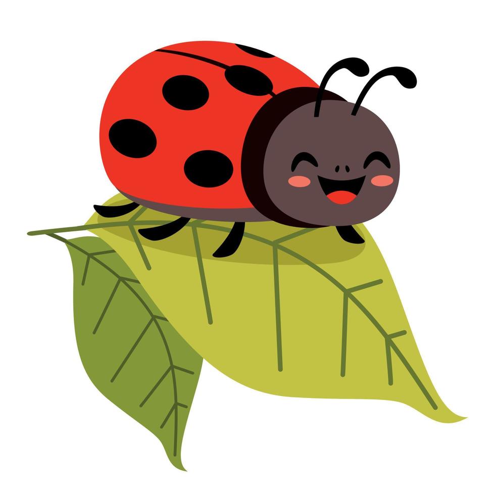 cartone animato illustrazione di un' coccinella vettore