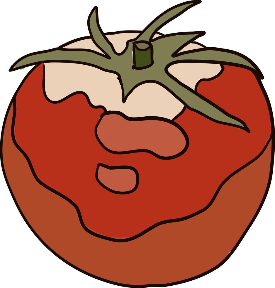 rosso pomodoro, illustrazione, vettore su bianca sfondo.