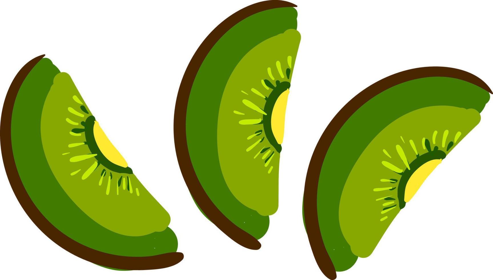 un' affettato Kiwi frutta, vettore o colore illustrazione.