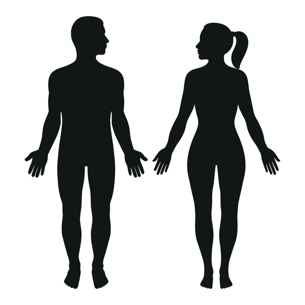 illustrazione di un' silhouette di un' uomo e un' donna vettore