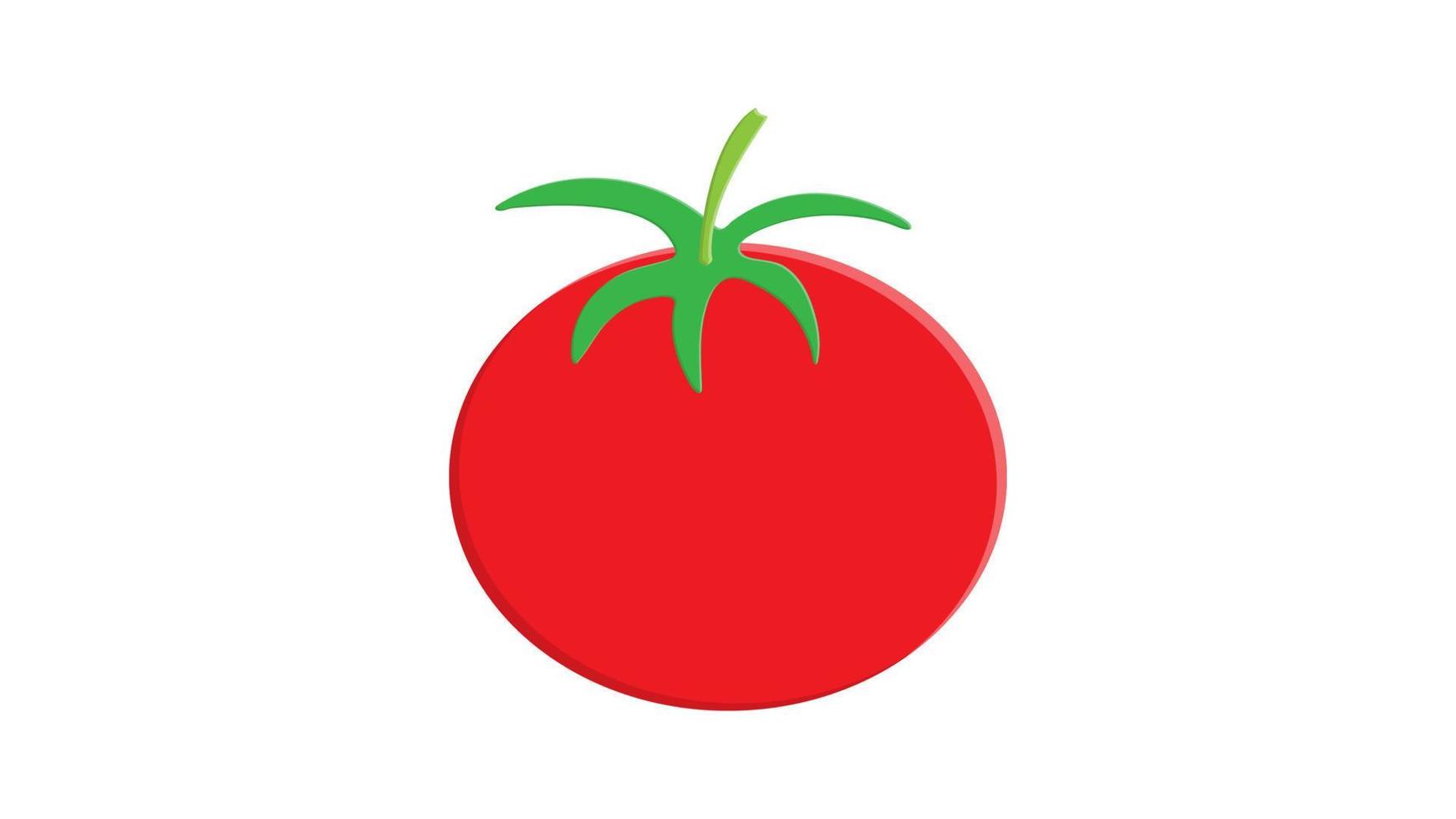 rosso pomodoro clip arte isolato su bianca sfondo, pomodori cartone animato infografica, illustrazione cartone animato pomodoro semplice piatto, carino pomodoro per scuola materna bambino apprendimento, pomodoro per veloce carta di bambini vettore