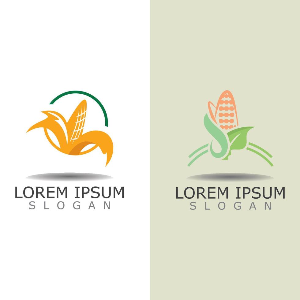 Mais semplice logo design agricoltura agricoltura vettore