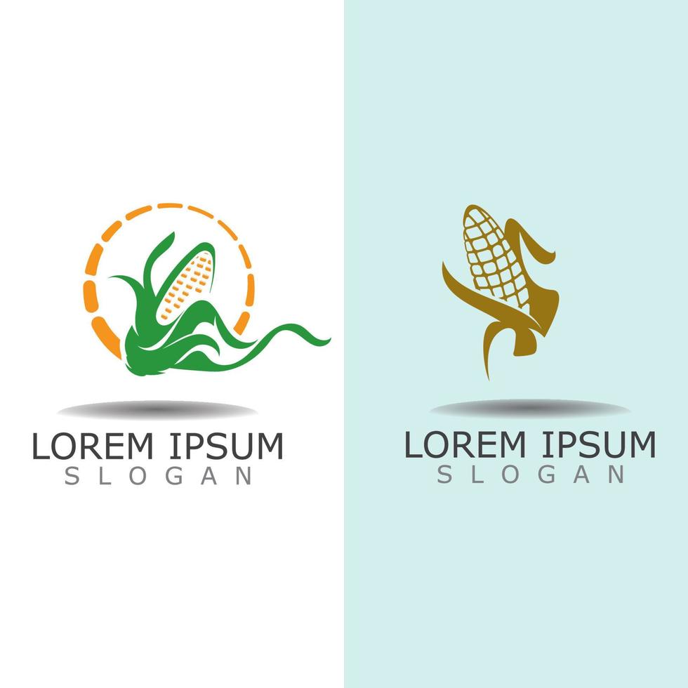 Mais semplice logo design agricoltura agricoltura vettore