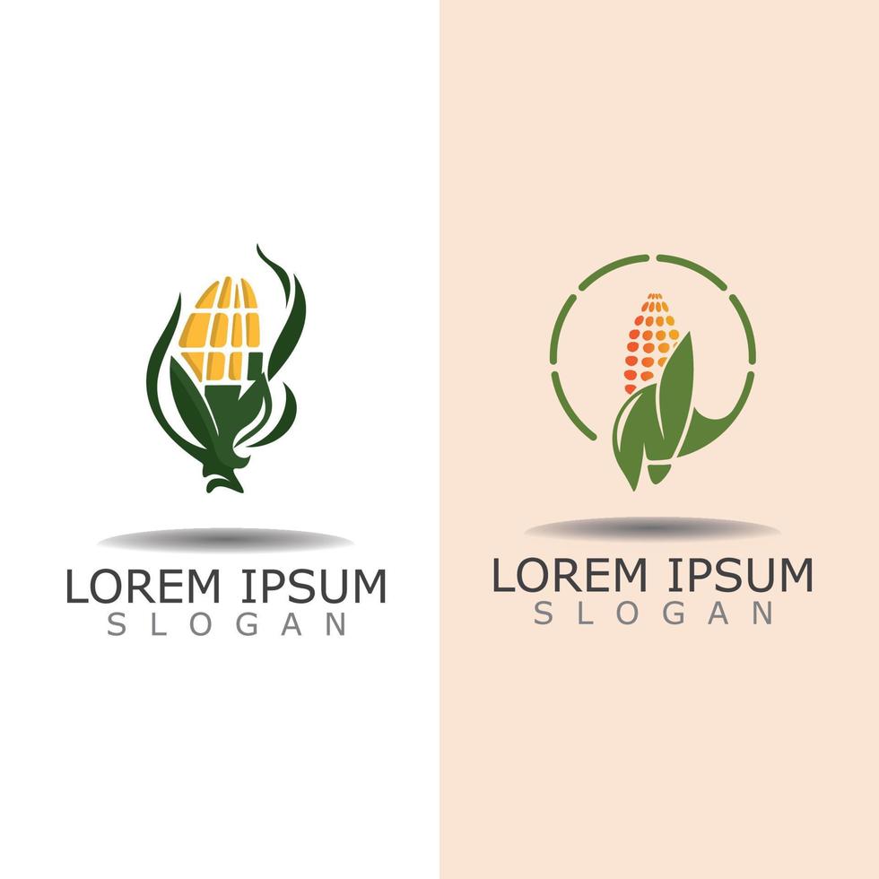 Mais semplice logo design agricoltura agricoltura vettore