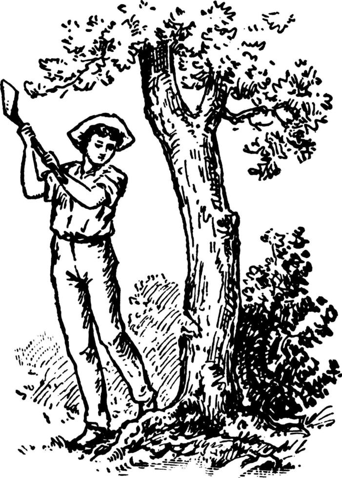 uomo abbattimento un' albero, Vintage ▾ illustrazione vettore