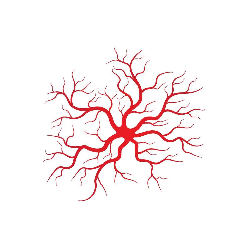 illustrazione di vene e arterie umane vettore