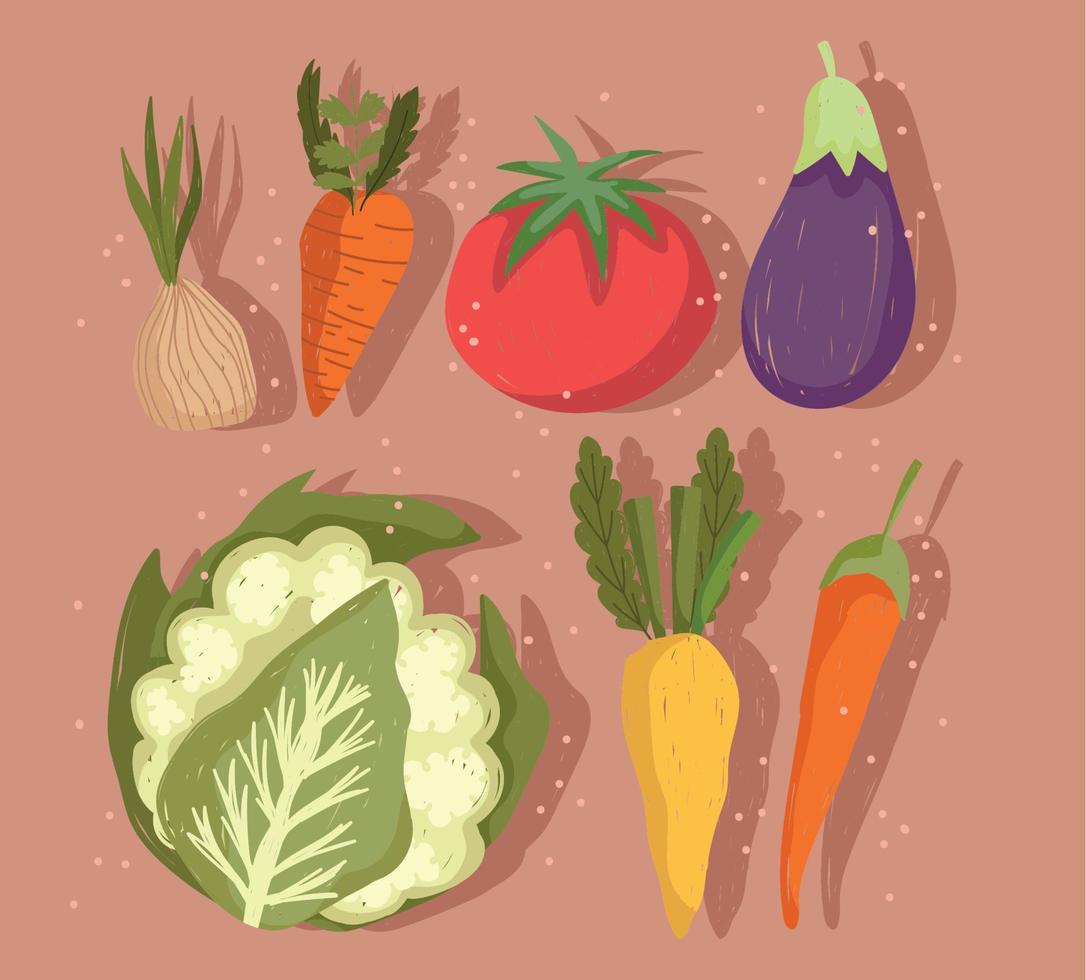 verdure carota melanzana cavolfiore carota e chili Pepe icone vettore