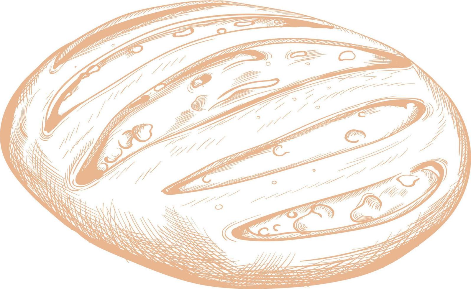 pane per cibo disegnato schizzo. vettore