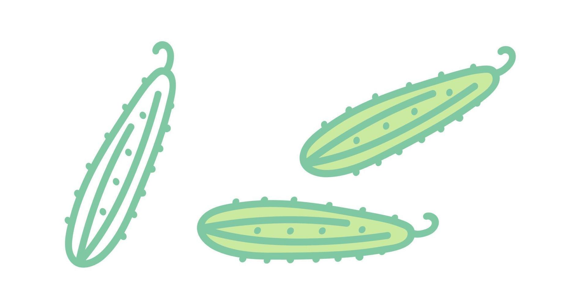vettore impostato icone di cetrioli. iillustration di cetriolo. mano disegno verdure.