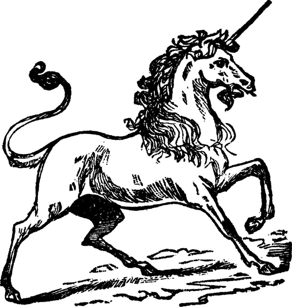 unicorno, Vintage ▾ illustrazione vettore