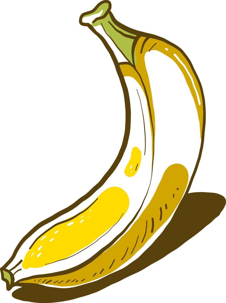 poco Banana, illustrazione, vettore su bianca sfondo.