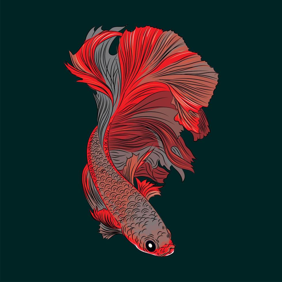 vettore illustrazione di carino betta pesce