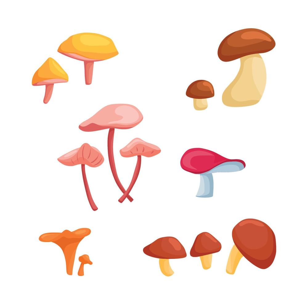 un' grande impostato di vettore illustrazioni con funghi nel un' cartone animato stile. porcini fungo, finferli, syroezka, Pepe fungo, burro di latte