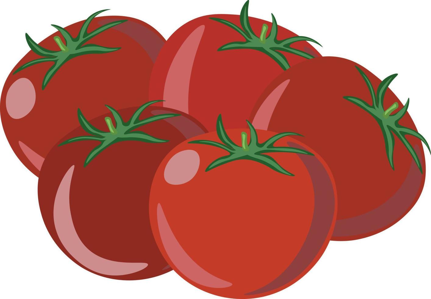 pomodori, illustrazione, vettore su bianca sfondo.