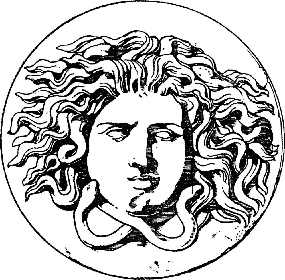 medusa testa Vintage ▾ illustrazione. vettore