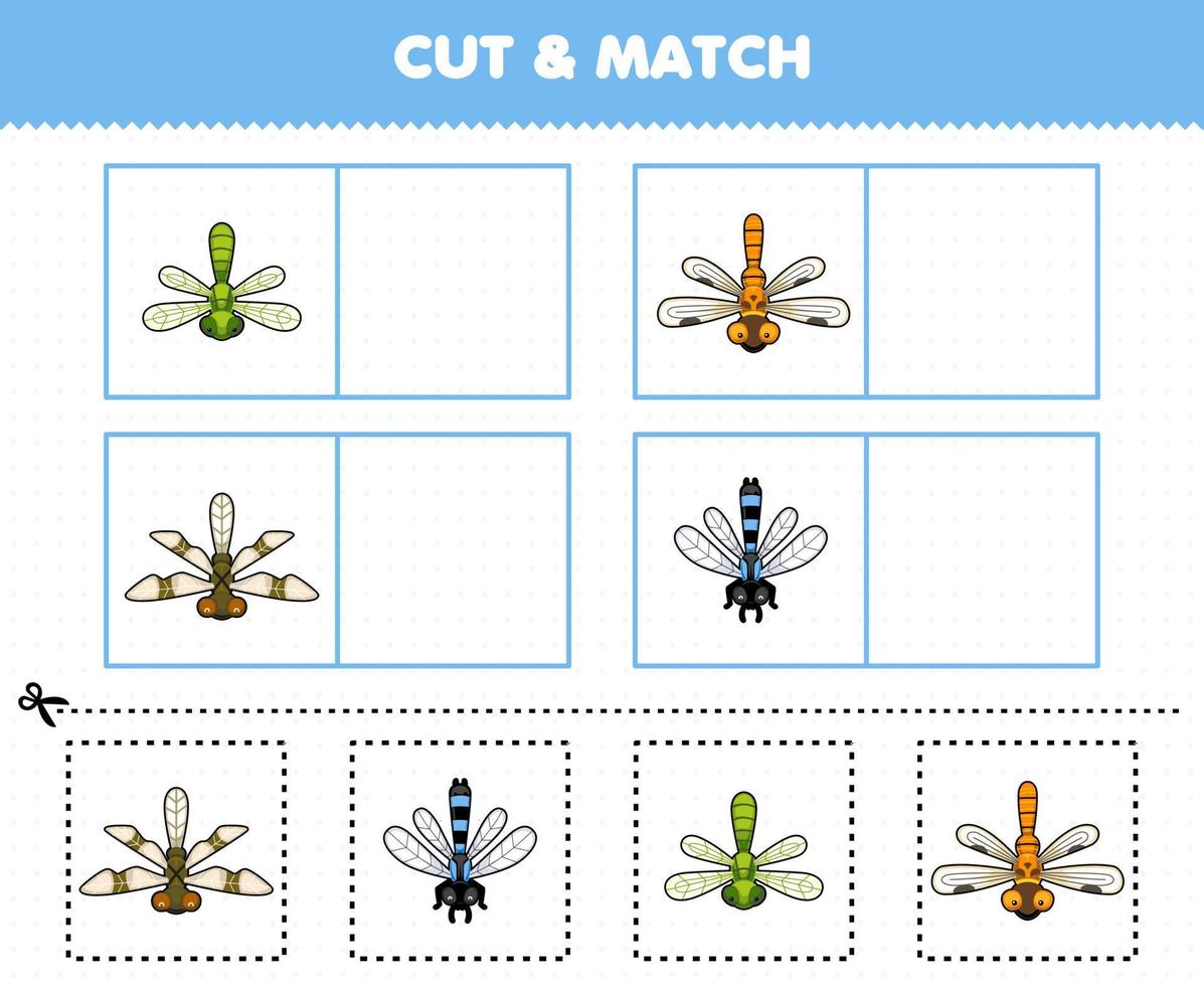 formazione scolastica gioco per bambini tagliare e incontro il stesso immagine di carino cartone animato libellula stampabile insetto foglio di lavoro vettore