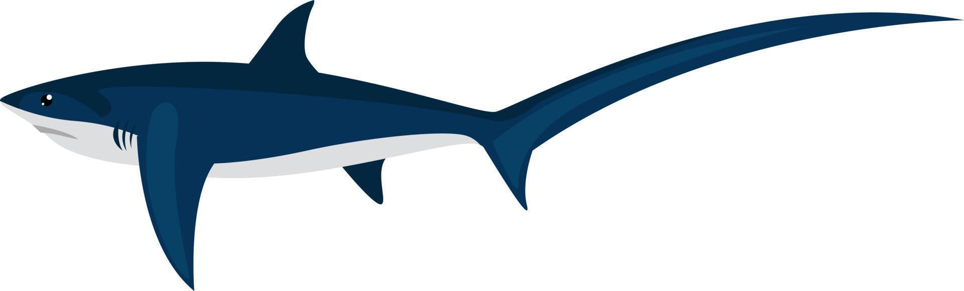 trebbiatrice squalo, illustrazione, vettore su bianca sfondo.