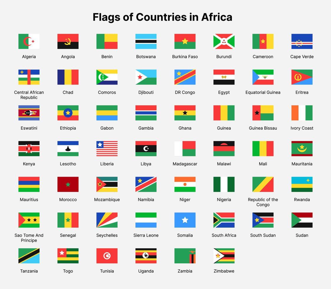Africa paesi bandiere. bandiere di paesi nel Africa. vettore