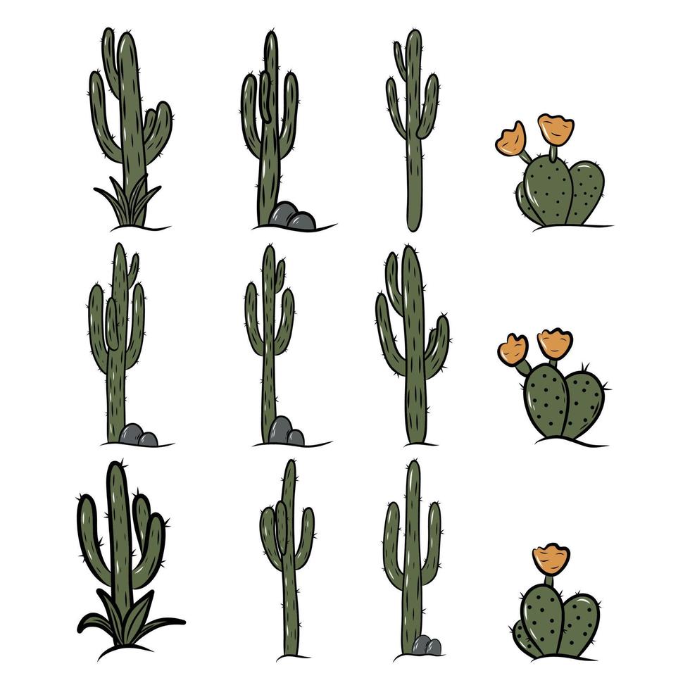 impostato di messicano cactus e aloe. collezione di esotico impianti. cactus con fiori. vettore