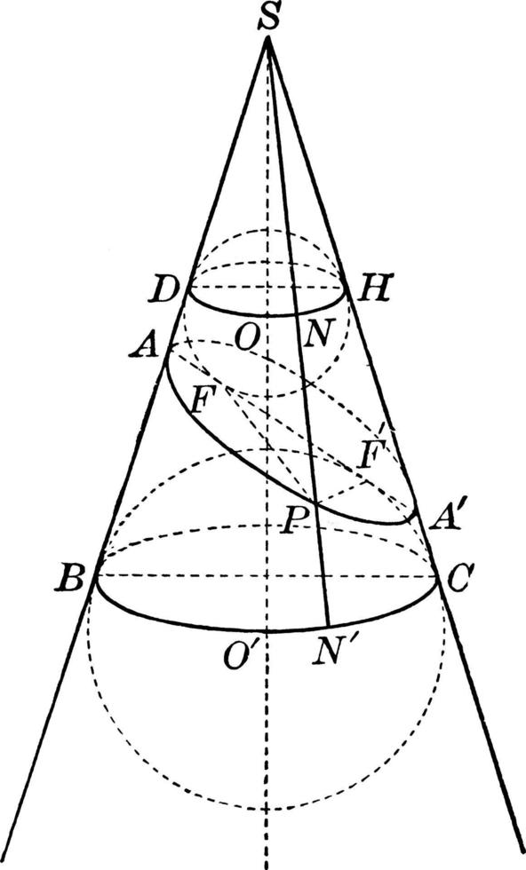 conica sezione, Vintage ▾ illustrazione. vettore