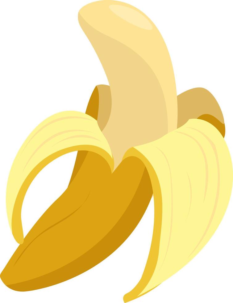 Banana sbucciare, illustrazione, vettore su bianca sfondo.