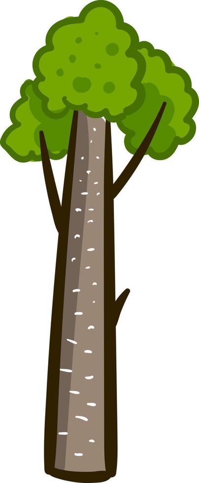 pino alto albero , illustrazione, vettore su bianca sfondo