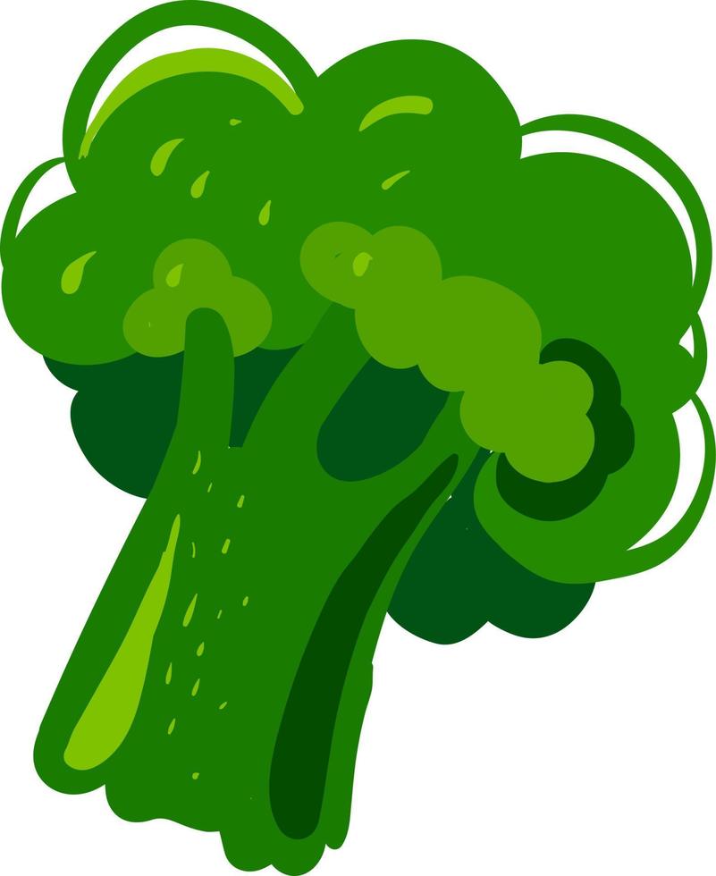 piatto broccoli, illustrazione, vettore su bianca sfondo.