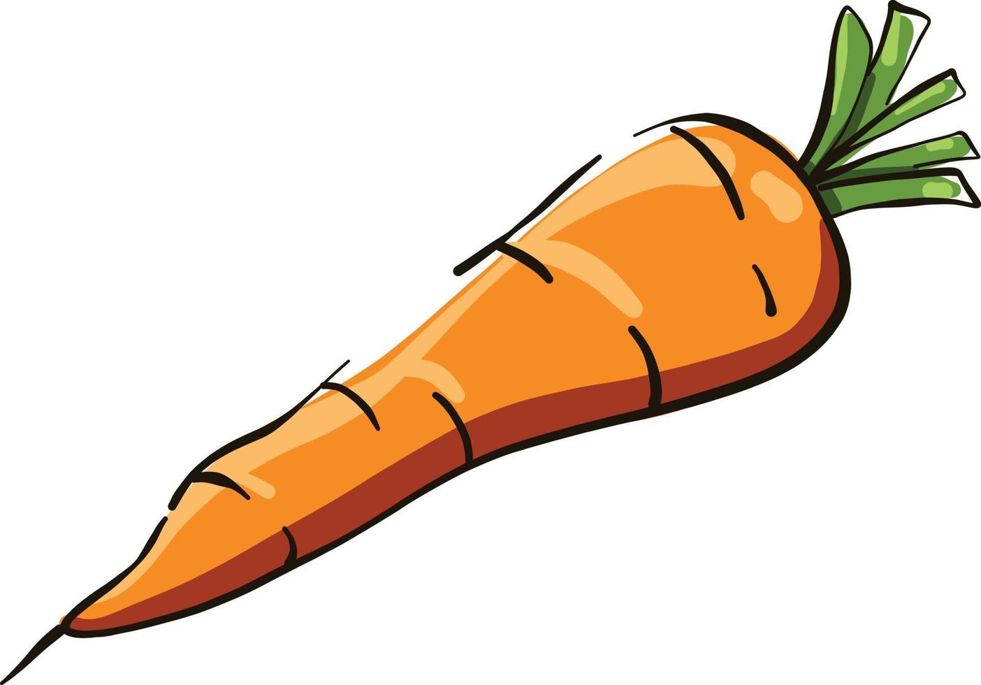 piccolo carota, illustrazione, vettore su bianca sfondo.