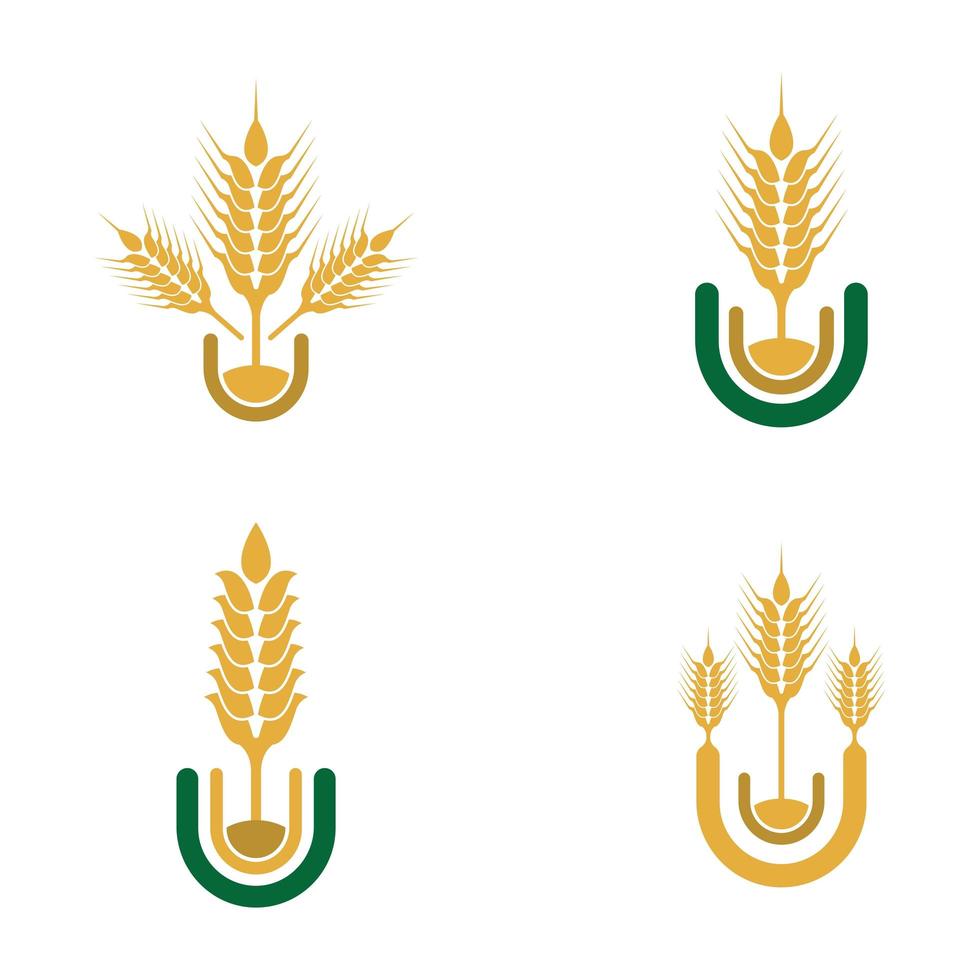 set di immagini del logo di grano vettore