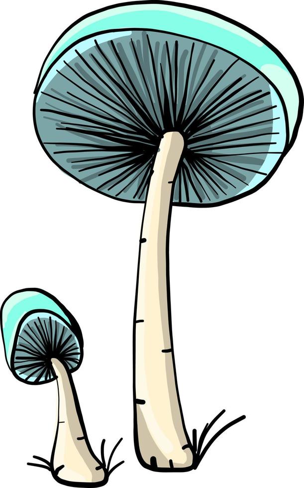 Due funghi, illustrazione, vettore su bianca sfondo.