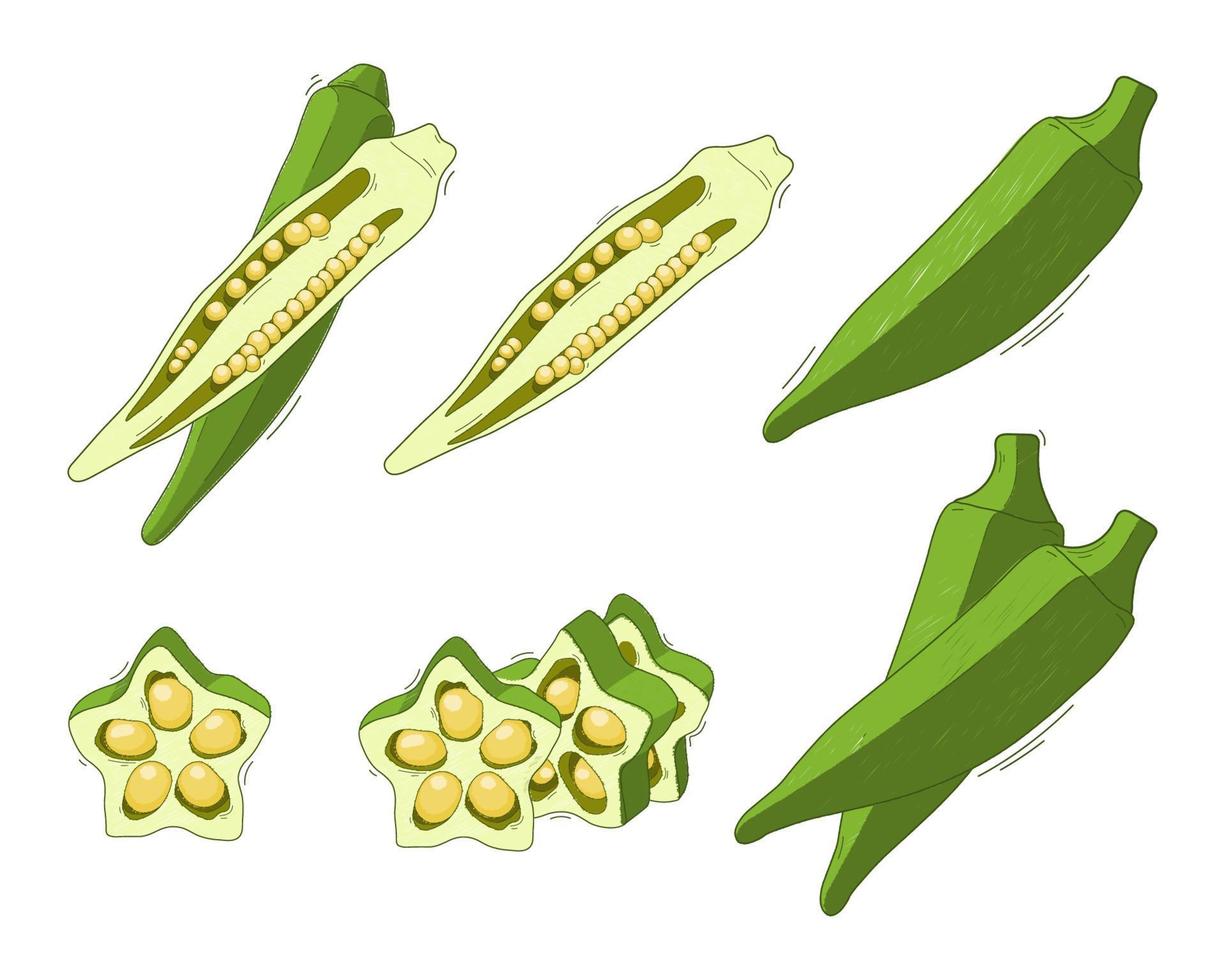 illustrazione, verdura abelmo ocra gombo su bianca sfondo vettore