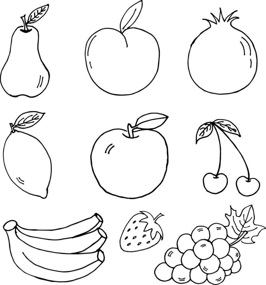 frutta mano disegnato vettore illustrazione oggetti impostato