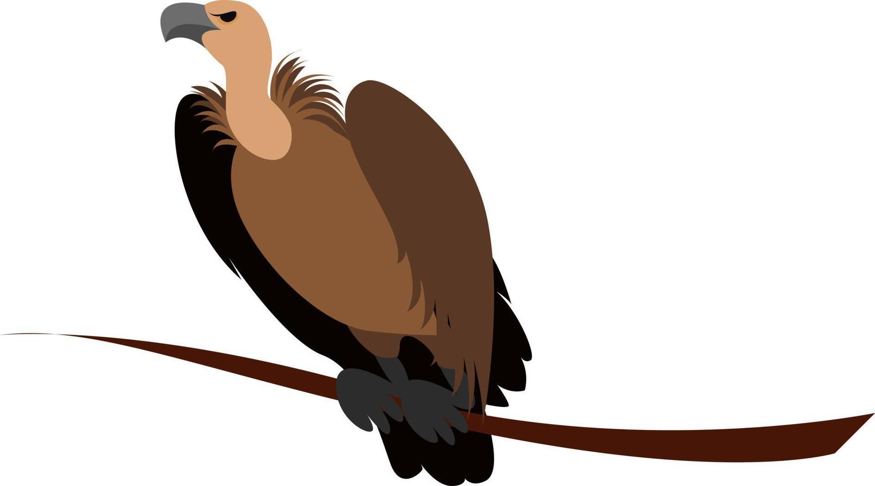 avvoltoio uccello, illustrazione, vettore su bianca sfondo