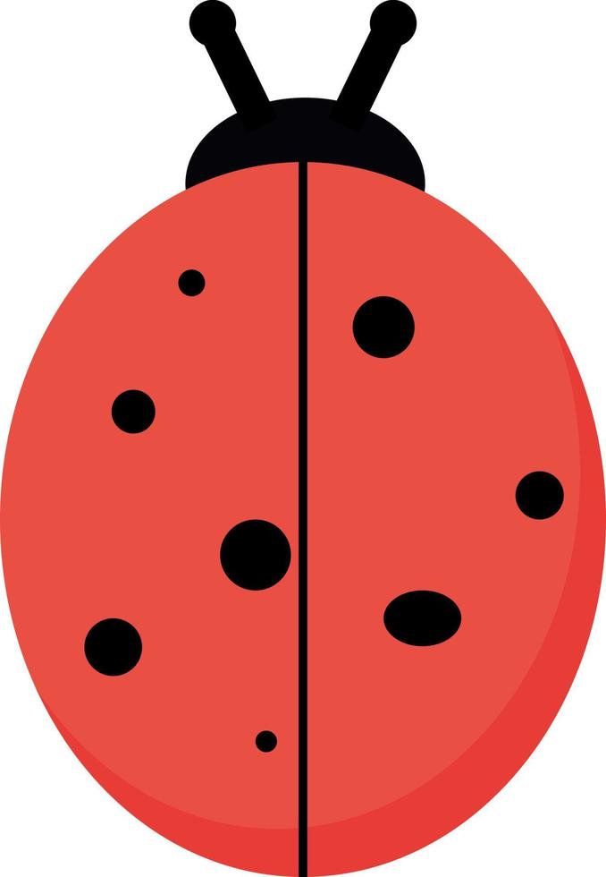 piatto coccinella, illustrazione, vettore su bianca sfondo.