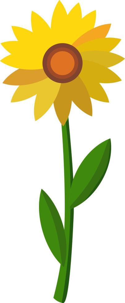 girasole, illustrazione, vettore su bianca sfondo.