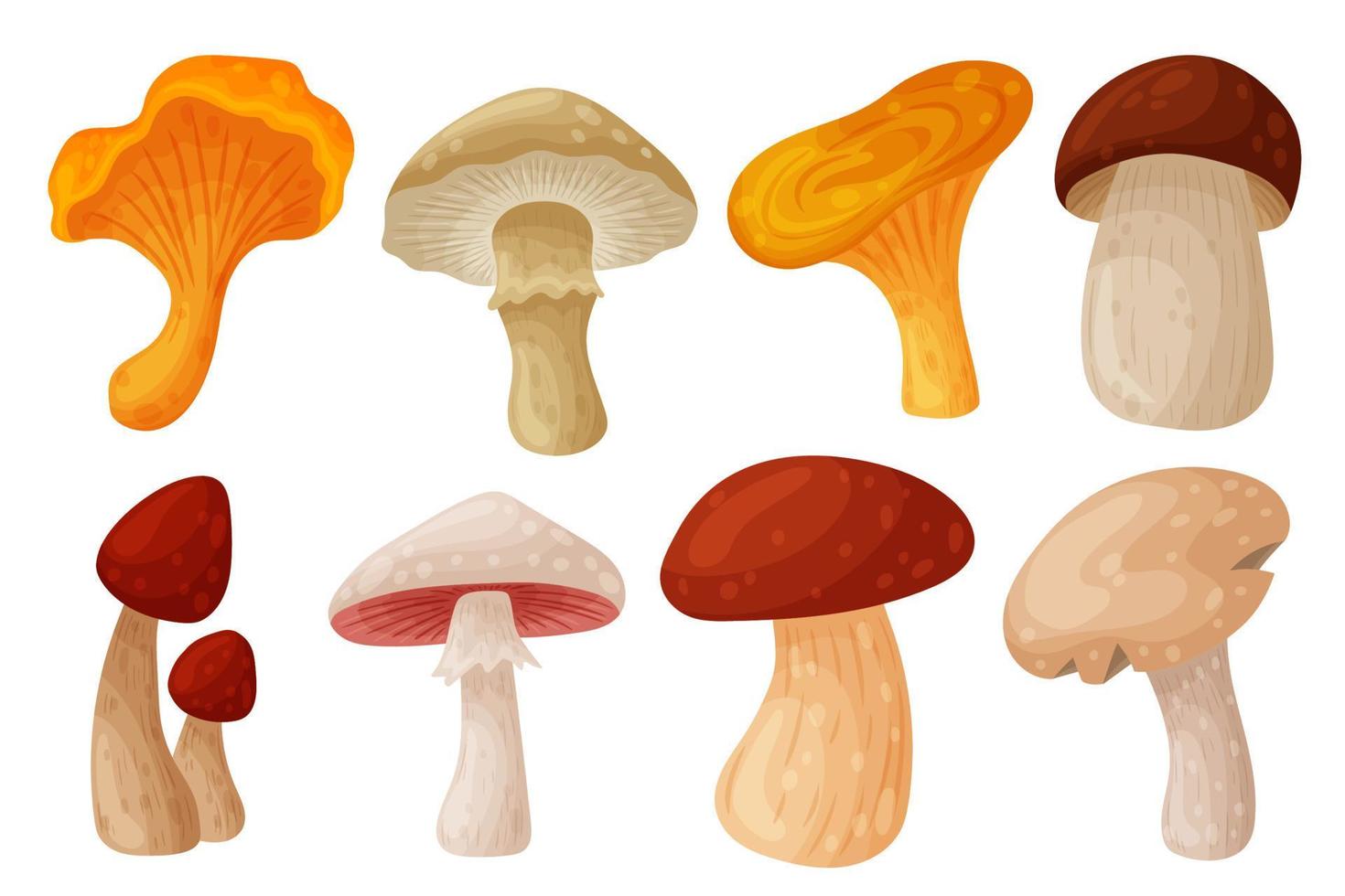 impostato di colorato fresco autunno selvaggio foresta funghi. cartone animato piatto stile sagome icone. grande autunno design concetto elementi. vettore illustrazione isolato su bianca sfondo.