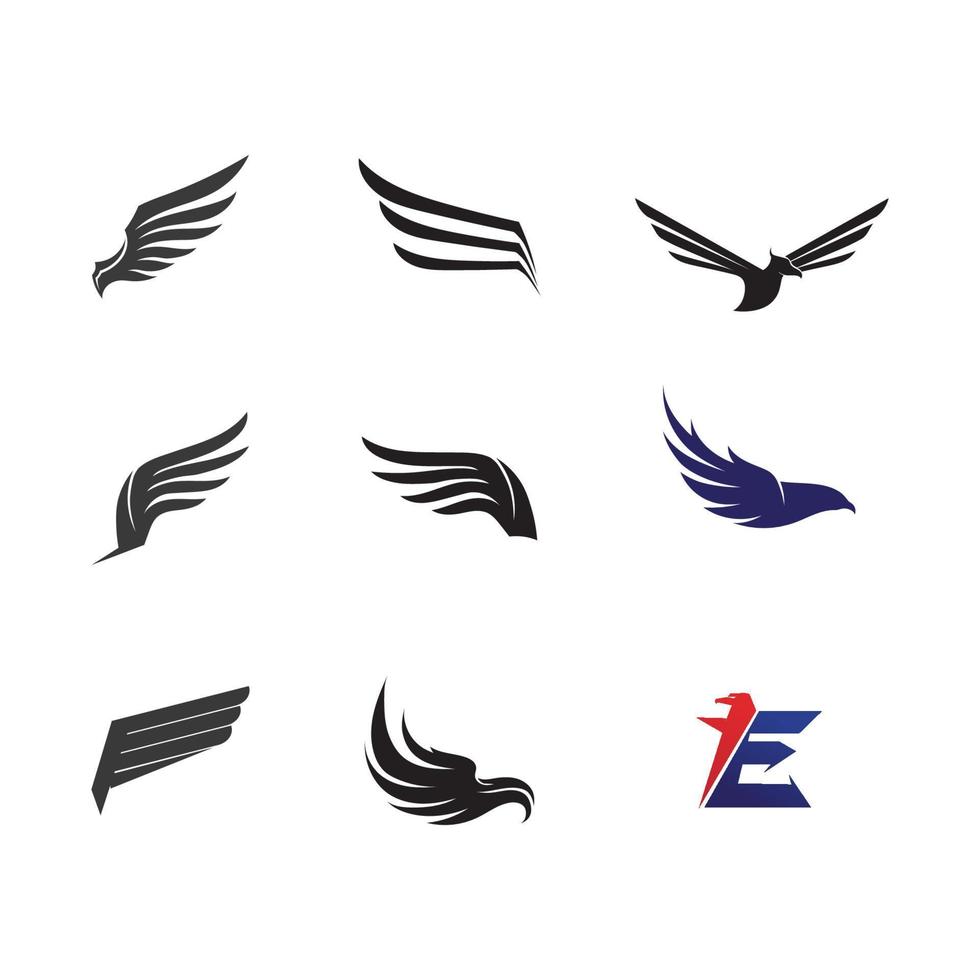 falcon eagle bird logo modello icona vettore