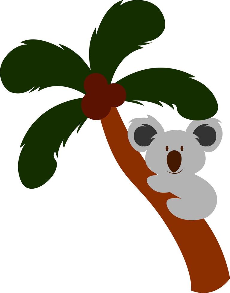 koala su palma albero, illustrazione, vettore su bianca sfondo.