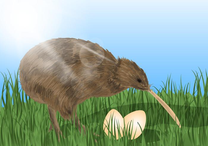 uccello di kiwi con le uova vettore